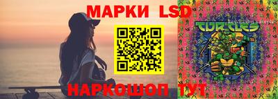 a pvp Краснокаменск