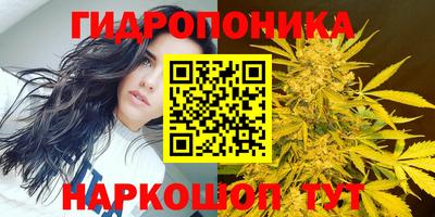 a pvp Краснознаменск