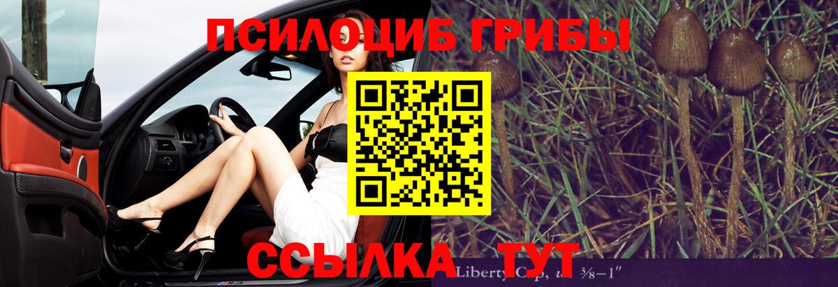 Псилоцибиновые грибы ЛСД  Вход с VPN  Новоалександровск 
