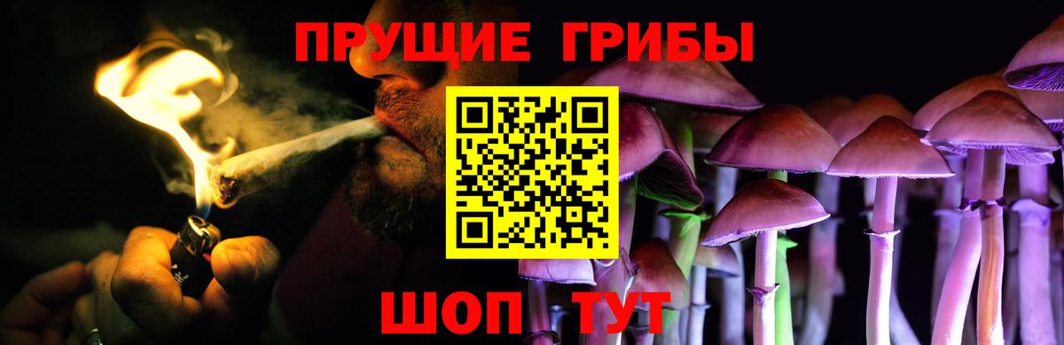 Псилоцибиновые грибы ЛСД Новоалександровск
