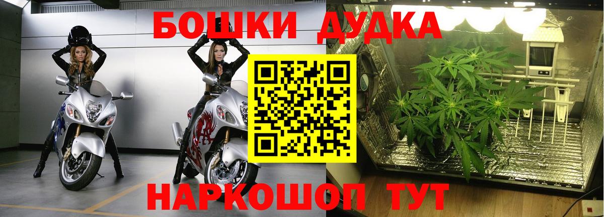 Гашиш  Экстази  Новоалександровск  Мефедрон кристаллы  Вход с VPN  Канабис  COCAIN  Купить закладку 
